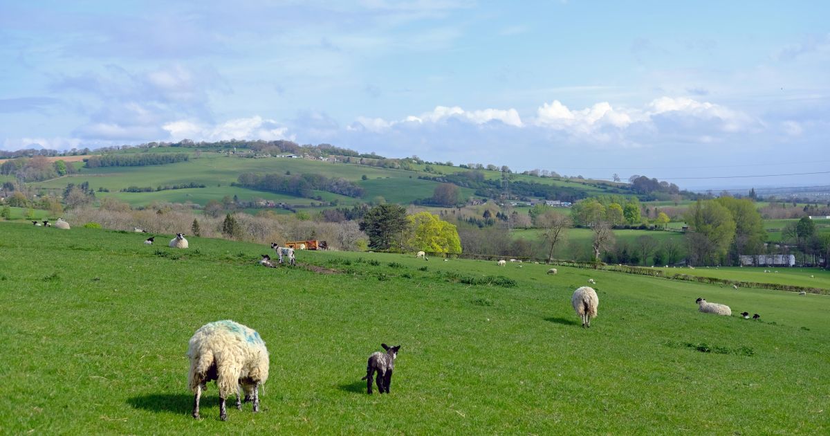 Langley Hill, Gretton & Stanley Pontlarge Ramblers